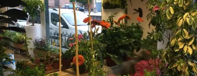 La imagen 7 de la Empresa GRUPO ANATURA - LA CASA DE LAS SEMILLAS Servicios Profesionales y de Negocios en Las Palmas de Gran Canaria GC