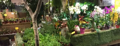 La imagen 9 de la Empresa GRUPO ANATURA - LA CASA DE LAS SEMILLAS Servicios Profesionales y de Negocios en Las Palmas de Gran Canaria GC