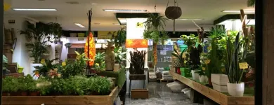 La imagen 12 de la Empresa GRUPO ANATURA - LA CASA DE LAS SEMILLAS Servicios Profesionales y de Negocios en Las Palmas de Gran Canaria GC