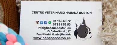 La imagen 21 de la Empresa HABANA BOSTON Veterinarios y Farmacias Veterinarias en Boadilla del Monte M