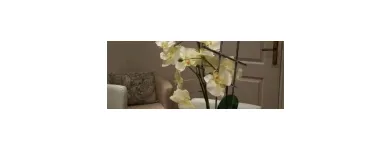 La imagen 3 de la Empresa HAZTUA PSICOLOGIA POSITIVA Psicologos en Fuenlabrada M