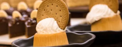 La imagen 2 de la Empresa HOTEL HTOP PINEDA PALACE & SPA Transportes y Turismo en Pineda de Mar B