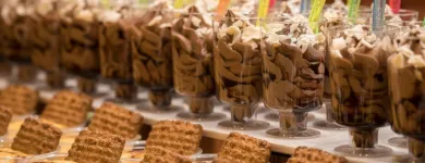 La imagen 4 de la Empresa HOTEL HTOP PINEDA PALACE & SPA Transportes y Turismo en Pineda de Mar B