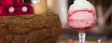 La imagen 6 de la Empresa HOTEL HTOP PINEDA PALACE & SPA Transportes y Turismo en Pineda de Mar B