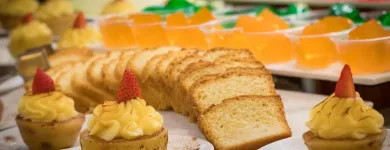 La imagen 15 de la Empresa HOTEL HTOP PINEDA PALACE & SPA Transportes y Turismo en Pineda de Mar B