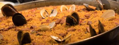 La imagen 19 de la Empresa HOTEL HTOP PINEDA PALACE & SPA Transportes y Turismo en Pineda de Mar B