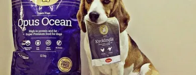 La imagen 7 de la Empresa HUSSE Animales De CompaÑia Alimentos: Fabricantes Y Mayoristas en Madrid M