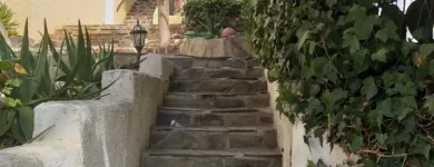 La imagen 4 de la Empresa JARDINES BALEAR Servicios Profesionales y de Negocios en Santa Ponça IB