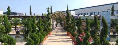 La imagen 10 de la Empresa JARDINES BALEAR Servicios Profesionales y de Negocios en Santa Ponça IB