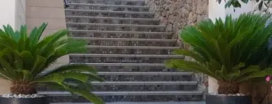 La imagen 12 de la Empresa JARDINES BALEAR Servicios Profesionales y de Negocios en Santa Ponça IB