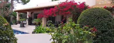 La imagen 13 de la Empresa JARDINES BALEAR Servicios Profesionales y de Negocios en Santa Ponça IB