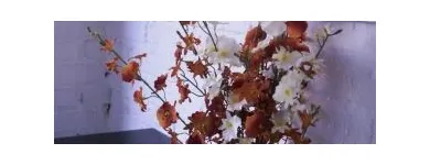 La imagen 1 de la Empresa KARISMA, AGENCIA MATRIMONIAL Transportes y Turismo en Madrid M