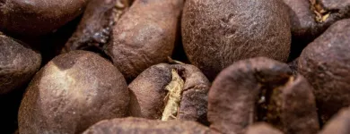 La imagen 2 de la Empresa LA CHAITECA Tiendas y Productores de Alimentos en Madrid M