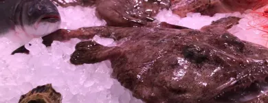 La imagen 1 de la Empresa LA MAROTECA PESCADO SALVAJE ARIBAU Restaurantes Mediterráneos en Barcelona B