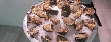 La imagen 3 de la Empresa LA MAROTECA PESCADO SALVAJE ARIBAU Restaurantes Mediterráneos en Barcelona B