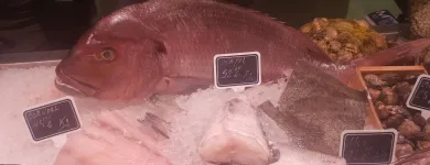 La imagen 5 de la Empresa LA MAROTECA PESCADO SALVAJE ARIBAU Restaurantes Mediterráneos en Barcelona B