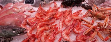 La imagen 9 de la Empresa LA MAROTECA PESCADO SALVAJE ARIBAU Restaurantes Mediterráneos en Barcelona B