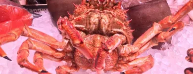 La imagen 11 de la Empresa LA MAROTECA PESCADO SALVAJE ARIBAU Restaurantes Mediterráneos en Barcelona B