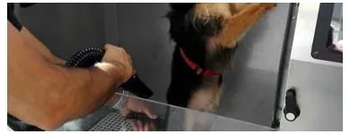 La imagen 2 de la Empresa LAVAKAN Productos y Servicios de Cuidado Personal en Pineda de Mar B