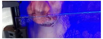 La imagen 4 de la Empresa LAVAKAN Productos y Servicios de Cuidado Personal en Pineda de Mar B