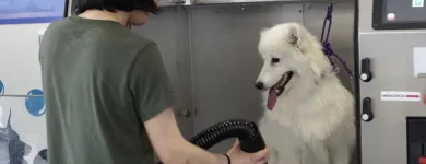 La imagen 8 de la Empresa LAVAKAN Productos y Servicios de Cuidado Personal en Pineda de Mar B