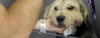 La imagen 9 de la Empresa LAVAKAN Productos y Servicios de Cuidado Personal en Pineda de Mar B