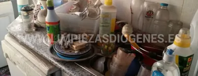 La imagen 2 de la Empresa LIMPIEZAS DIOGENES Limpiezas Tecnicas en Madrid M