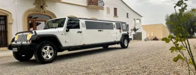 La imagen 1 de la Empresa LIMUSINAS GAUDÍ Taxis: Servicios Y Paradas en Barcelona B