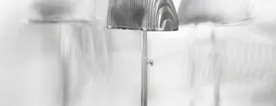 La imagen 4 de la Empresa MANIQUIES DICAPO SL Organización De Eventos en Madrid M