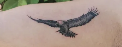 La imagen 5 de la Empresa MARCA SACRA TATTOO STUDIO Tatuajes y Piercings en Madrid M