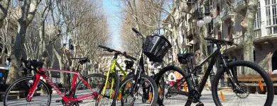 La imagen 2 de la Empresa NANO BICYCLES Deportes y Recreación en Palma de Mallorca IB