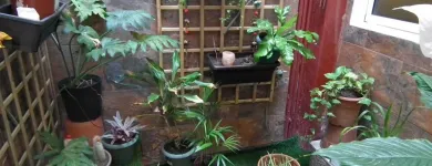 La imagen 7 de la Empresa OM YOGA LAS PALMAS Yoga en Las Palmas de Gran Canaria GC