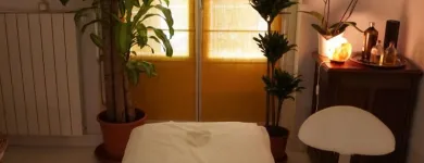 La imagen 1 de la Empresa OSTEOPATÍA JAVIER ARCEO Salud y Medicina en Madrid M
