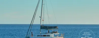 La imagen 14 de la Empresa PAPILLON YACHT SERVICES SL. Transportes y Turismo en Adeje TF