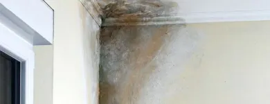 La imagen 1 de la Empresa PROHUCON Inmobiliaria y Reformas en Madrid M