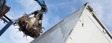 La imagen 2 de la Empresa RECUPERACIONES LOS GEMELOS Industrias y Agricultura en Torrejón de Ardoz M