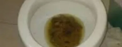 La imagen 4 de la Empresa RESTAURANTE LA ESPUELA COCINA COCHINA Restaurantes en Terrassa B