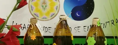 La imagen 7 de la Empresa RINCÓN VERDE MAVIONE Industrias y Agricultura en Madrid M
