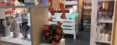 La imagen 1 de la Empresa SANINATUR SUPLEMENTOS Terapias Alternativas y Complementarias en Madrid M