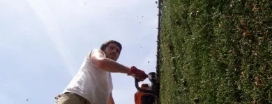 La imagen 3 de la Empresa SATIVA JARDINERS Jardineria: Empresas De Servicios en Sant Pol de Mar B