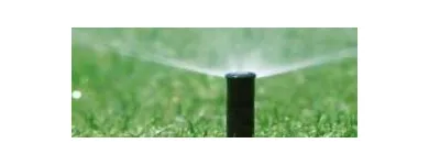 La imagen 5 de la Empresa SATIVA JARDINERS Jardineria: Empresas De Servicios en Sant Pol de Mar B