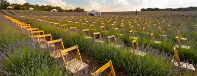 La imagen 3 de la Empresa SILLASALQUILER.COM. Servicios Profesionales y de Negocios en Madrid M