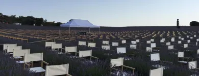 La imagen 4 de la Empresa SILLASALQUILER.COM. Servicios Profesionales y de Negocios en Madrid M