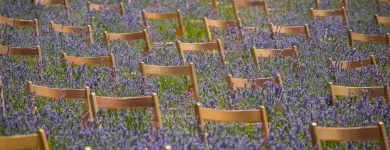 La imagen 7 de la Empresa SILLASALQUILER.COM. Servicios Profesionales y de Negocios en Madrid M