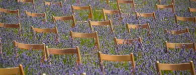 La imagen 14 de la Empresa SILLASALQUILER.COM. Servicios Profesionales y de Negocios en Madrid M