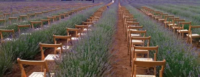 La imagen 17 de la Empresa SILLASALQUILER.COM. Servicios Profesionales y de Negocios en Madrid M