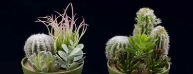 La imagen 13 de la Empresa SUPERNOVA DECORACION Servicios Profesionales y de Negocios en Málaga España