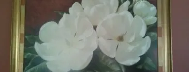 La imagen 31 de la Empresa SUPERNOVA DECORACION Servicios Profesionales y de Negocios en Málaga España