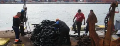 La imagen 5 de la Empresa TALLERES NEPTUNO S.L Transportes y Turismo en Barcelona B