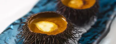 La imagen 3 de la Empresa WINDSOR Cocina Tradicional en Barcelona B